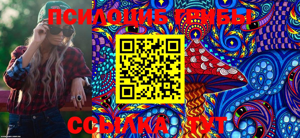 Псилоцибиновые грибы Magic Shrooms  Вход с VPN  наркота  Усть-Джегута  Галлюциногенные грибы Psilocybine cubensis 