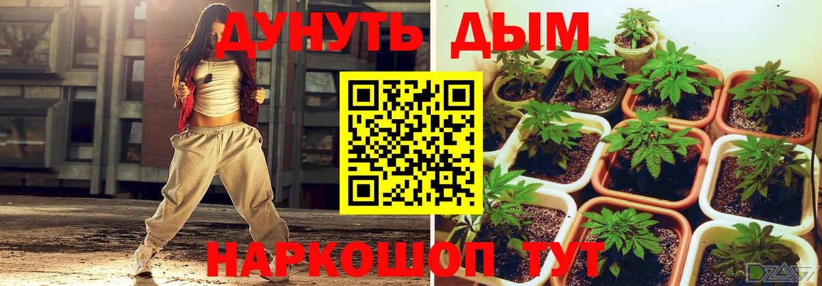Канабис SATIVA & INDICA Усть-Джегута